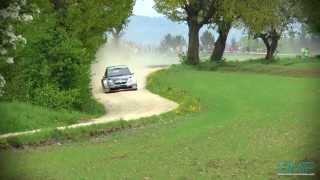 Wechselland Rallye 2013 [upl. by Moffat]