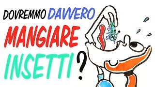 Mangiare gli INSETTI è il futuro La SCIENZA del CIBO [upl. by Roderich]