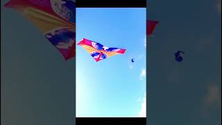 A Kite Soaring in the Wind – A colorful kite floating in the sky [upl. by Eihcir976]