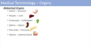 Medical Terminology  The Basics  Lesson 1 [upl. by Iak125]