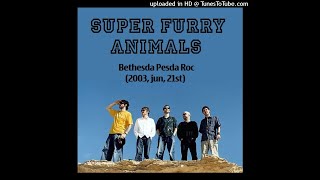 Super Furry Animals Live at Pesda Roc  2003 [upl. by Flann]