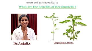 Benefits of Keelanelli  DrAnjali [upl. by Acira]