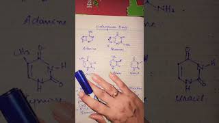 Structures Of Nitrogenous basis [upl. by Ayiram]