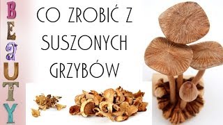 Co zrobić z suszonych grzybów [upl. by Rica]