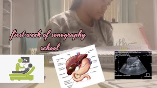 Realistic First Week Of Sonography School  Nikki Harrison [upl. by Mcgaw]