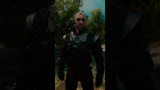 Legendary Witcher Armor Witcher 3 Next Gen [upl. by Zeus660]