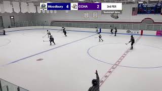 CCHA PWB1G vs Woodbury [upl. by Dorrej]