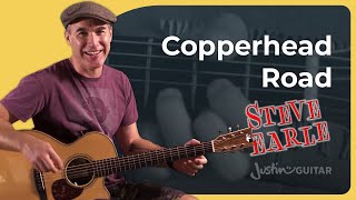 Copperhead Road by Steve Earle  Guitar Lesson [upl. by Swamy]