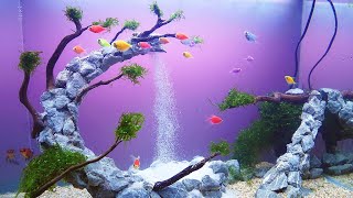 AMAZING WATERFALL AQUARIUM  Aquascape Waterfall Setup Step by Step Tutorial [upl. by Ahsiket125]