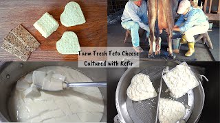 FARM FRESH FETA CHEESE CULTURED WITH KEFIR  MADE WITH FARM FRESH RAW MILK [upl. by Lorrad689]