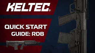 RDB Quick Start Guide [upl. by Hallam508]