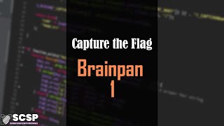 Brainpan 1  Walkthrough Buffer overflow [upl. by Polloch970]