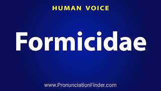 How To Pronounce Formicidae [upl. by Lambart9]