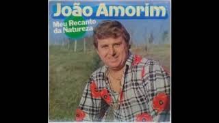 João Amorim  O Cordeirinho  Robison  Poeta  Célia  LP 1986  Faixa 04  Lado A [upl. by Teresa592]