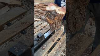 😱 Amazing wood splitting machine Extreme splitting🪓🪵 firewood logsplitter [upl. by Inalaek153]