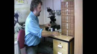 Radiolarian Micropalaeontology Extracting Radiolaria from Sediment [upl. by Debi]