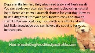 Dog Food Recipes Chicken Mince [upl. by Kenneth713]