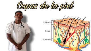 ⭐Las CAPAS de la PIEL y sus FUNCIONES✨EPIDERMIS DERMIS Y HIPODERMIS⭐ [upl. by Gracia]