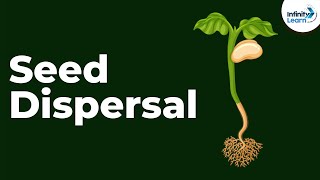 Seed Dispersal  Reproduction in Plants  Dont Memorise [upl. by Gizela]