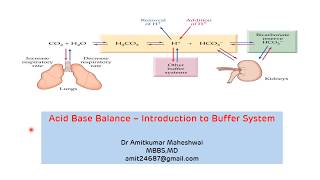 Introduction to Buffer System  Regulation of pH  Acid Base Balance  Buffers in Biochemistry [upl. by Trebbor]