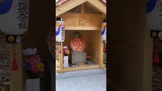 Inside Fushimi Inari Shrine [upl. by Seys]