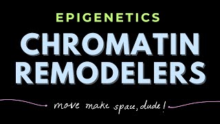 Discovery of Histone Chaperones  Chromatin remodeling complexes  Epigenetics  GATECSIRNET [upl. by Serra]