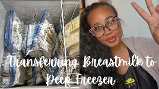 How to Store amp Deep Freeze Breast Milk [upl. by Trebled]