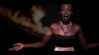 Abena Akuaba  Bring Back Our Girls Official Video [upl. by Demahum616]