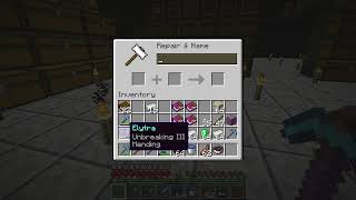 Elytra enchanting guide how to enchant your elytra  Minecraft 121 [upl. by Kirkwood]