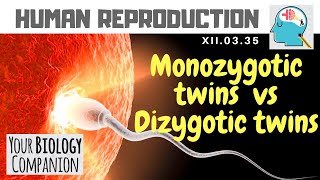 XII0335 – Monozygotic twins vs Dizygotic twins  NEET  AIIMS  ExamForU [upl. by Sigsmond397]