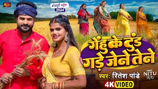 ViralVideo  चईता  गेंहू के टुंड गड़े जेने तेने  Ritesh Pandey  Gade Jene Tene  Bhojpuri Song [upl. by Selima]