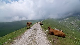 Crossing Picos de Europa  Indoor Cycling Training [upl. by Stent]