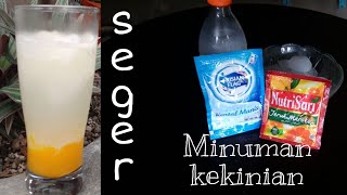 ES NUTRISARI SUSU  MINUMAN KEKINIAN [upl. by Hceicjow]