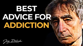 Gabor Maté Pain as the Root of Addiction [upl. by Selway532]