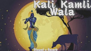 Kaali Kamli Wala  Slowed x Reverb • Chitra Vichitra Ji Maharaj Slowed And Reverb Song [upl. by Stovall]