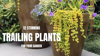 12 Stunning Trailing Plants For Your Garden [upl. by Eittik]