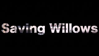 Saving Willows Episode 1 [upl. by Nnayrb]