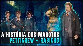 HOGWARTS UMA HISTÓRIA  MAROTOS RABICHO [upl. by Ailido159]