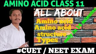 AMINO ACID CLASS 11 BIOMOLECULES  BIOMOLECULES CLASS 11 BIOLOGY  AMINO ACID  FOOTLAB CLASSES [upl. by Ambrosine]