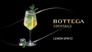 Bottega Cocktails BOTTEGA SPRITZ ita [upl. by Berky]