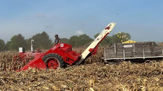 Corn harvest at Half Century of progress 2023 [upl. by Anaig833]