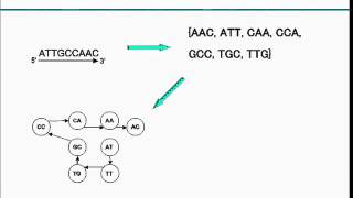 Genome Assemby Chinese Postman and Virtual Clusters [upl. by Blanchard]