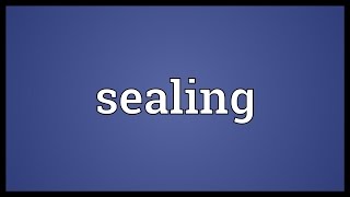 Sealing Meaning [upl. by Tamera]