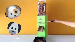 Como hacer un dispensador de comida para perros solo de cartón [upl. by Eleets216]