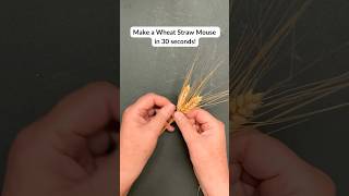 Ornamental Wheat Weaving Learn to Plait Straw [upl. by Akitan]