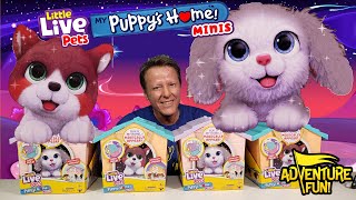 6 Little Live Pets My Puppy’s Home Minis Build Home amp Puppy Magically Arrives Toy Adventure Fun [upl. by Tandi]