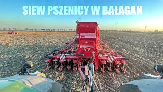 Trudny siew pszenicy po kukurydzy Czy to się uda FENDT 933  ST600 [upl. by Adnirolc426]