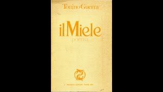 TONINO GUERRA  IL MIELE [upl. by Nagy]