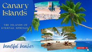 Dont Miss Out on the Canary Islands Best Kept Secrets [upl. by Tollmann]