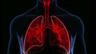 COPD CURE  ABSOLUTE LUNG CLEANSE amp HEALING MORPHIC FIELD [upl. by Justin]